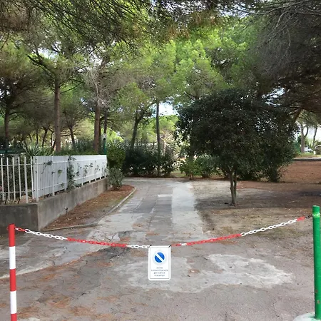 Platamona Margherita 61 *